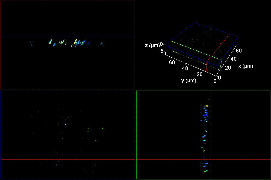 pnas2020.gif